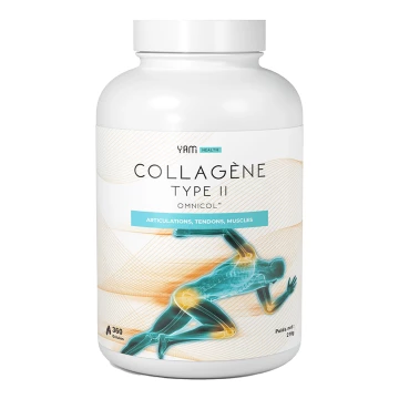 Collagène Type II - Yam Nutrition